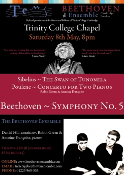 The Beethoven Ensemble